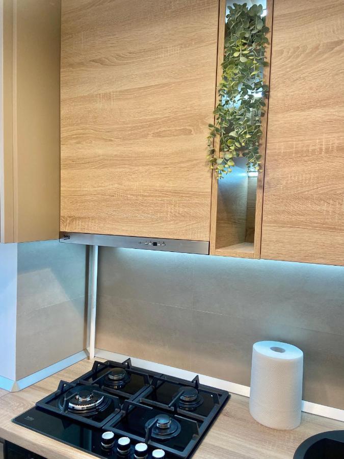 Lazar Loft Διαμέρισμα Ιάσιο Εξωτερικό φωτογραφία