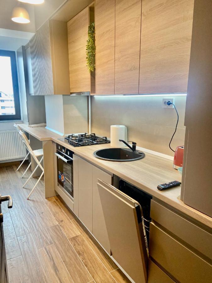 Lazar Loft Διαμέρισμα Ιάσιο Εξωτερικό φωτογραφία