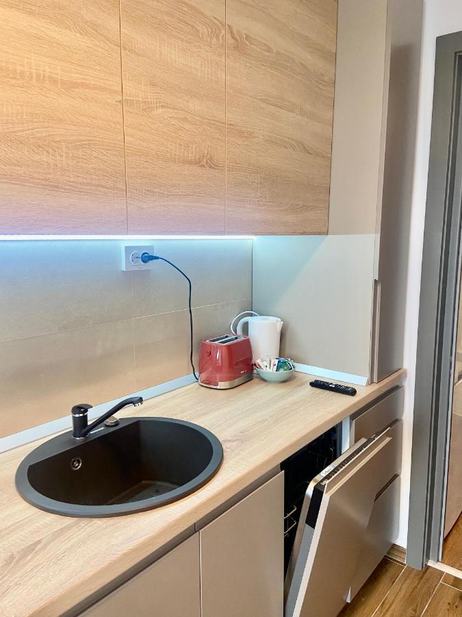 Lazar Loft Διαμέρισμα Ιάσιο Εξωτερικό φωτογραφία
